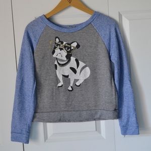 Boston Terrier Sweater